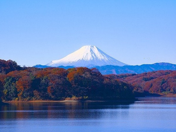 15 curiosidades sobre o japão
