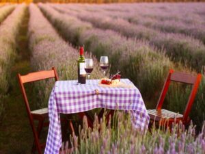 Het Dorp: Um Pedaço da Holanda no Coração de Carambeí (PR)