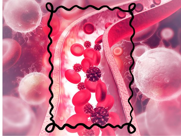 O Guia do Viajante para Aumentar o HDL - Colesterol Bom